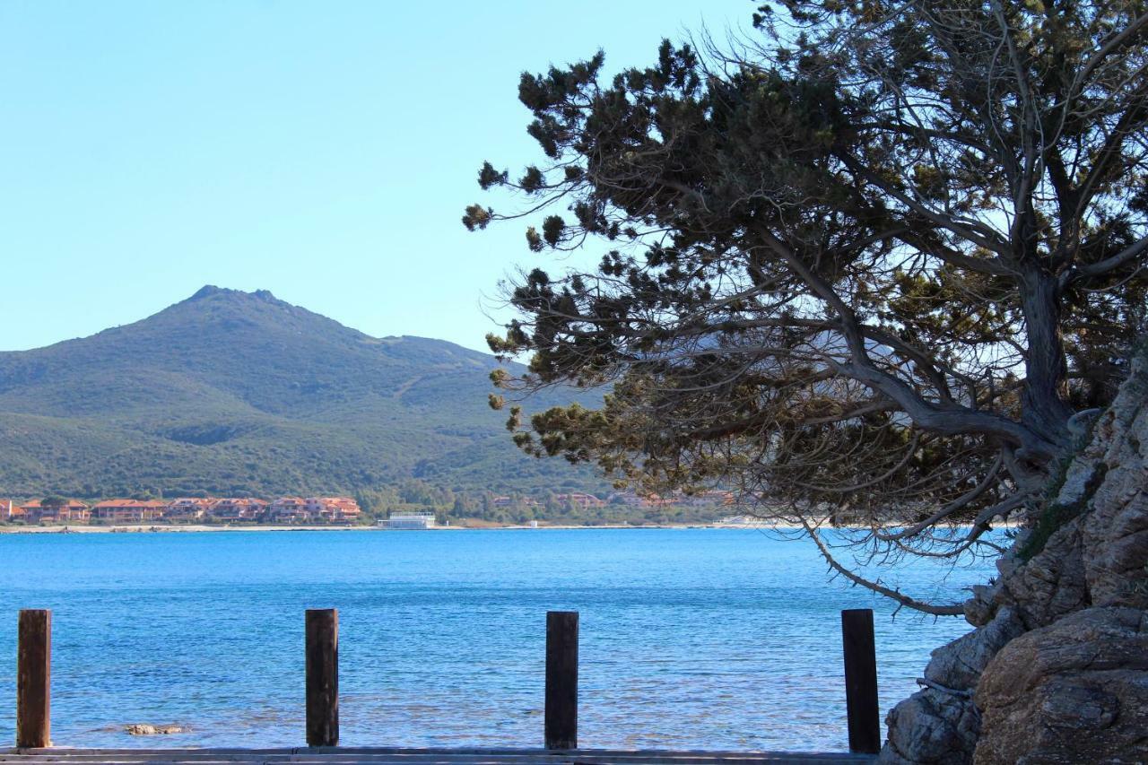 Вилла Casa Vacanze Il Cisto - Golfo Di Marinella Порто-Ротондо Экстерьер фото